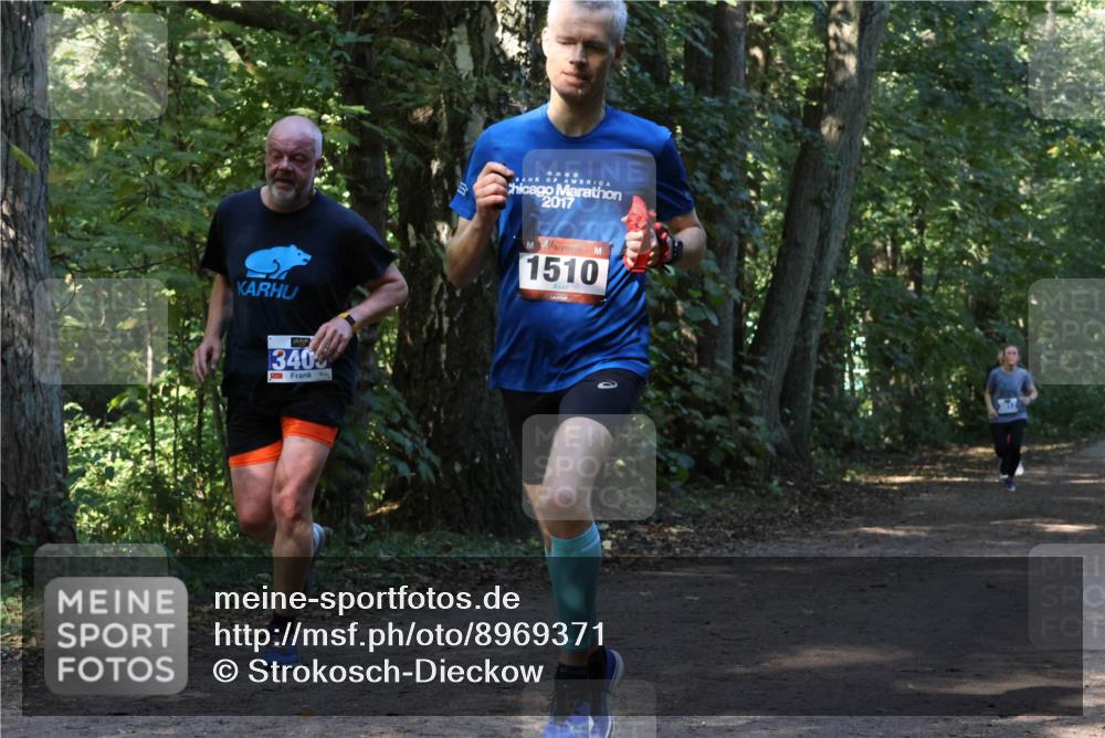 28.09.2025 - 33. Volkslauf durch das schöne Alstertal Strokosch-Dieckow http://msf.ph/oto/8969371 28.09.2025 11:26:30 Laufen 340, 2017, 1510 meine-sportfotos.de