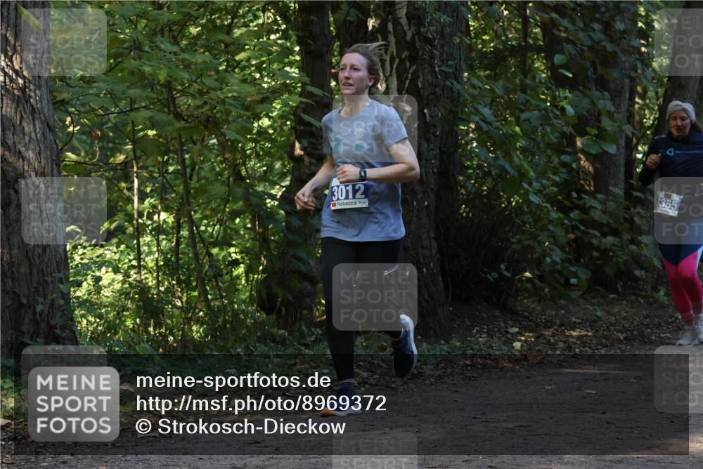 28.09.2025 - 33. Volkslauf durch das schöne Alstertal Strokosch-Dieckow http://msf.ph/oto/8969372 28.09.2025 11:26:36 Laufen 3012, 355 meine-sportfotos.de
