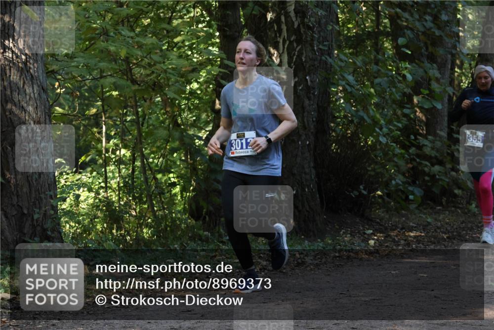 28.09.2025 - 33. Volkslauf durch das schöne Alstertal Strokosch-Dieckow http://msf.ph/oto/8969373 28.09.2025 11:26:37 Laufen 3012, 355 meine-sportfotos.de