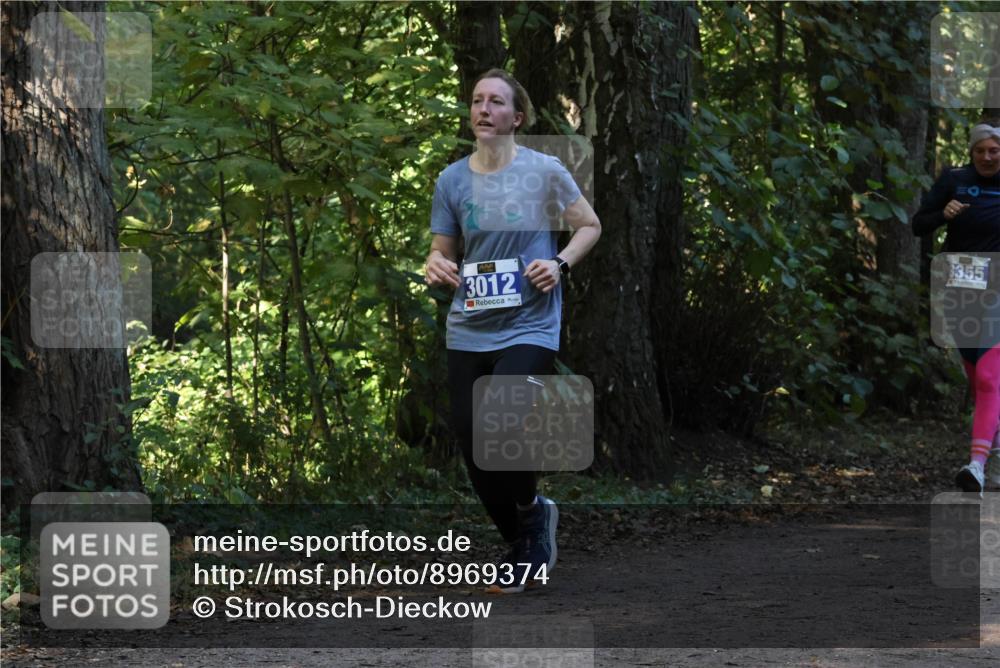 28.09.2025 - 33. Volkslauf durch das schöne Alstertal Strokosch-Dieckow http://msf.ph/oto/8969374 28.09.2025 11:26:37 Laufen 3012, 3355 meine-sportfotos.de