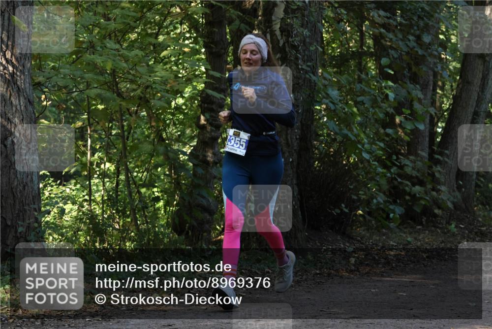 28.09.2025 - 33. Volkslauf durch das schöne Alstertal Strokosch-Dieckow http://msf.ph/oto/8969376 28.09.2025 11:26:39 Laufen 355, 1 meine-sportfotos.de