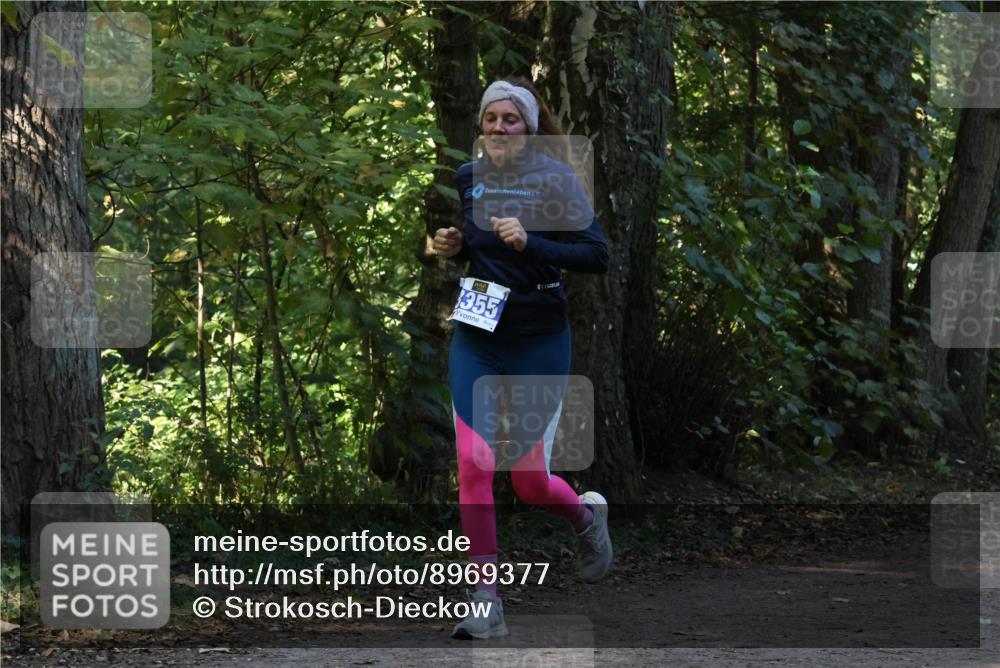 28.09.2025 - 33. Volkslauf durch das schöne Alstertal Strokosch-Dieckow http://msf.ph/oto/8969377 28.09.2025 11:26:39 Laufen 355 meine-sportfotos.de