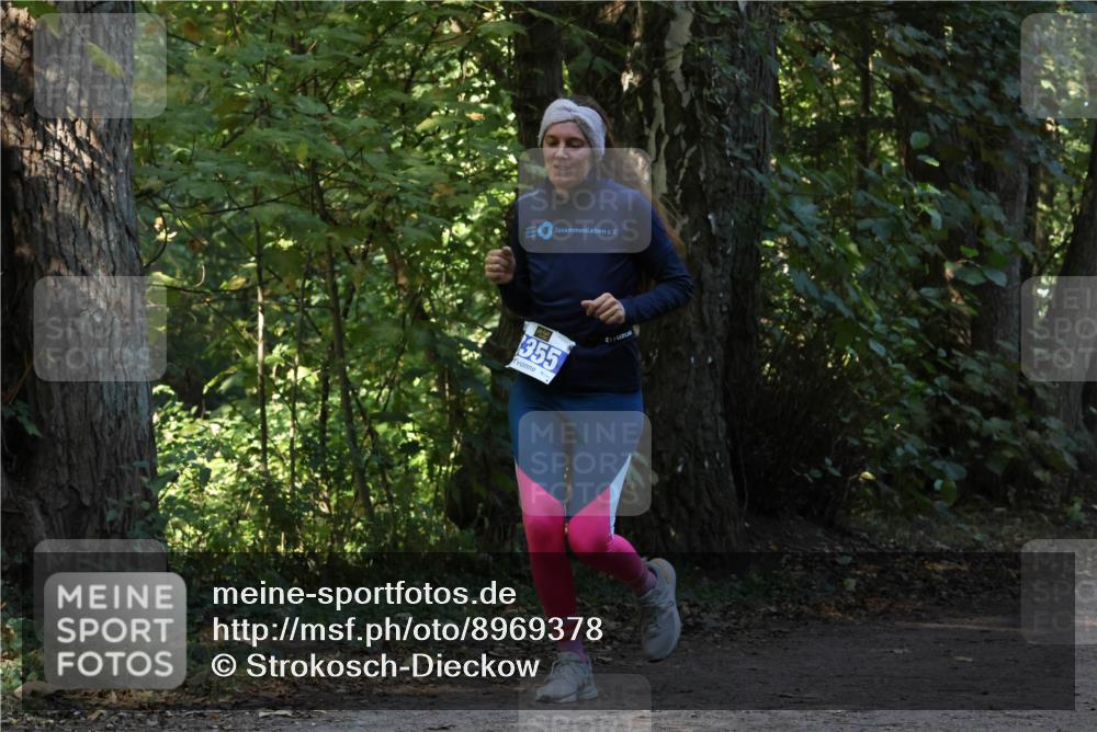 28.09.2025 - 33. Volkslauf durch das schöne Alstertal Strokosch-Dieckow http://msf.ph/oto/8969378 28.09.2025 11:26:39 Laufen 355 meine-sportfotos.de