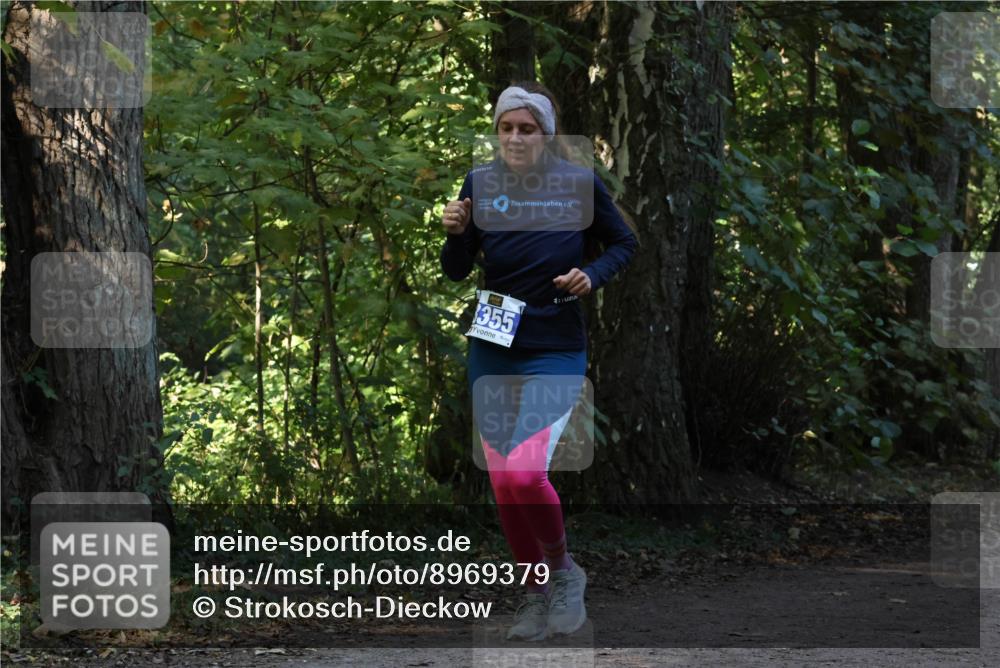 28.09.2025 - 33. Volkslauf durch das schöne Alstertal Strokosch-Dieckow http://msf.ph/oto/8969379 28.09.2025 11:26:39 Laufen 355 meine-sportfotos.de