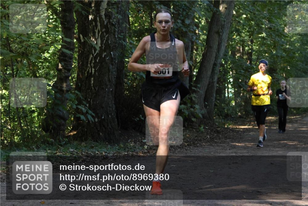 28.09.2025 - 33. Volkslauf durch das schöne Alstertal Strokosch-Dieckow http://msf.ph/oto/8969380 28.09.2025 11:26:42 Laufen 01 meine-sportfotos.de
