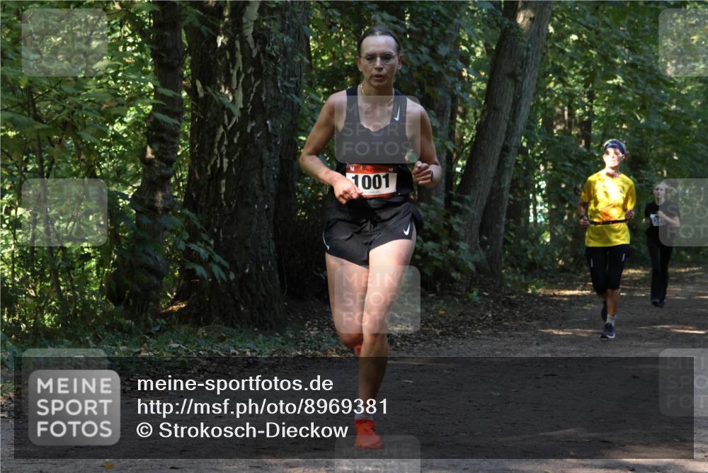 28.09.2025 - 33. Volkslauf durch das schöne Alstertal Strokosch-Dieckow http://msf.ph/oto/8969381 28.09.2025 11:26:42 Laufen 1001 meine-sportfotos.de