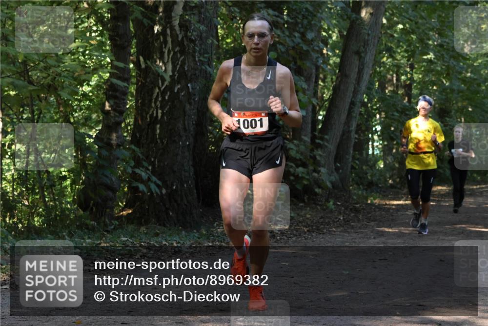 28.09.2025 - 33. Volkslauf durch das schöne Alstertal Strokosch-Dieckow http://msf.ph/oto/8969382 28.09.2025 11:26:42 Laufen 001 meine-sportfotos.de