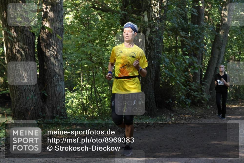 28.09.2025 - 33. Volkslauf durch das schöne Alstertal Strokosch-Dieckow http://msf.ph/oto/8969383 28.09.2025 11:26:46 Laufen 2017 meine-sportfotos.de