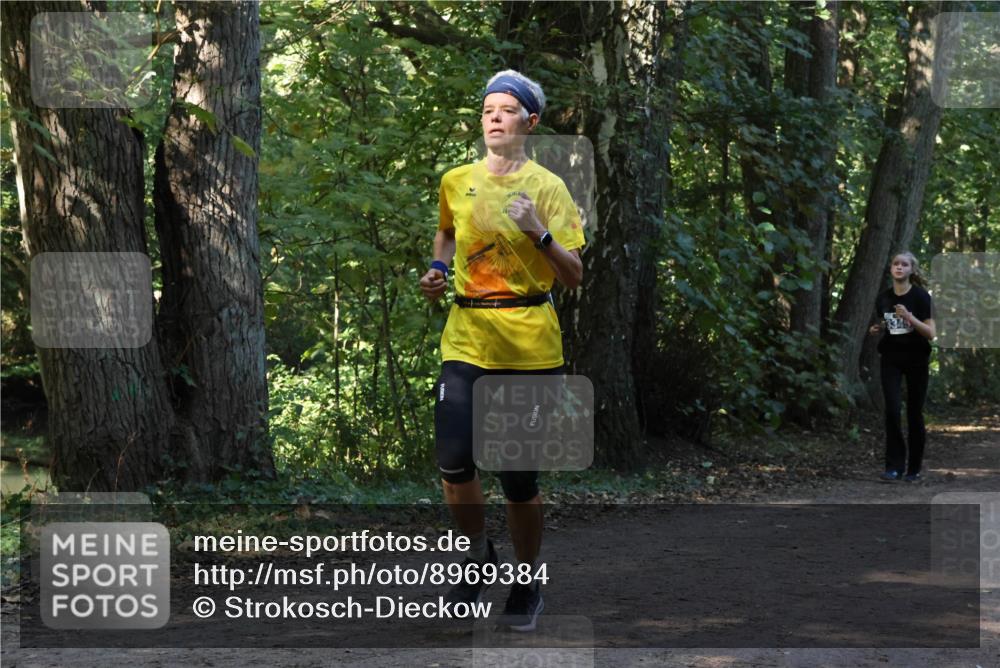28.09.2025 - 33. Volkslauf durch das schöne Alstertal Strokosch-Dieckow http://msf.ph/oto/8969384 28.09.2025 11:26:46 Laufen  meine-sportfotos.de