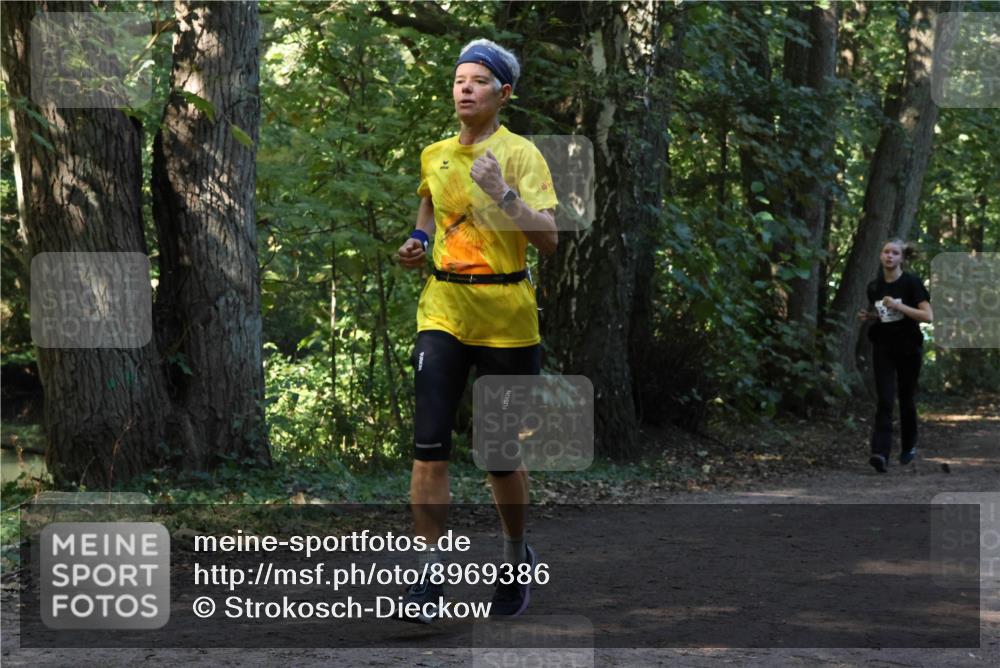 28.09.2025 - 33. Volkslauf durch das schöne Alstertal Strokosch-Dieckow http://msf.ph/oto/8969386 28.09.2025 11:26:46 Laufen  meine-sportfotos.de