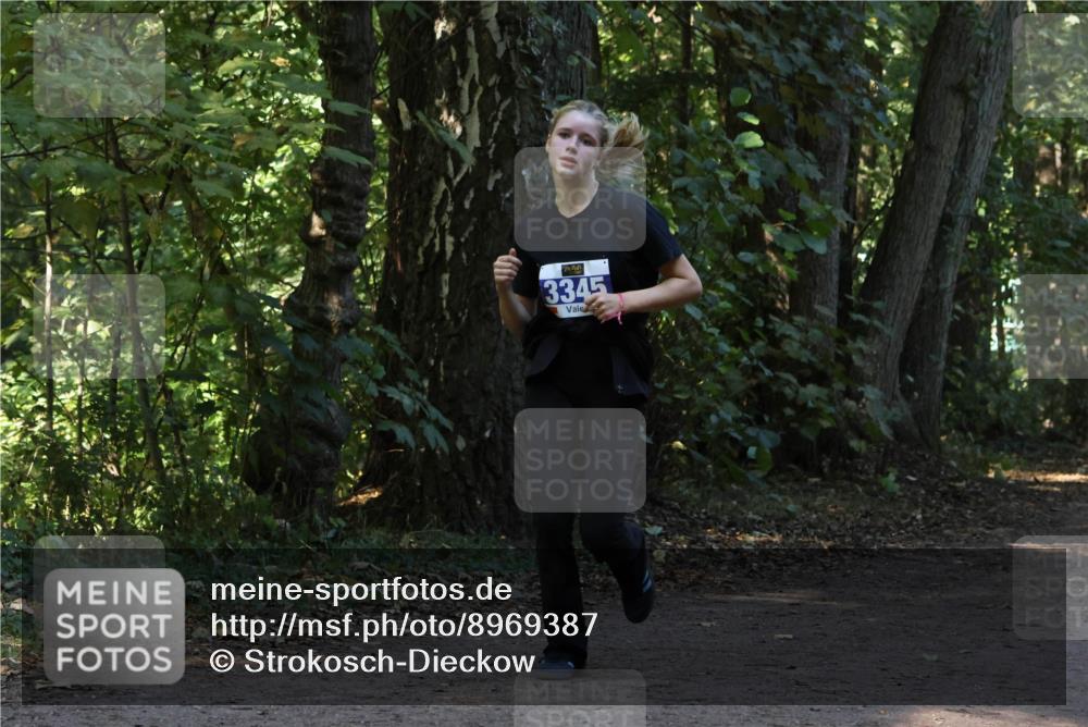28.09.2025 - 33. Volkslauf durch das schöne Alstertal Strokosch-Dieckow http://msf.ph/oto/8969387 28.09.2025 11:26:48 Laufen 3345 meine-sportfotos.de