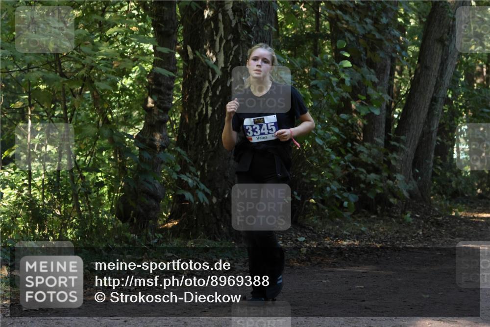 28.09.2025 - 33. Volkslauf durch das schöne Alstertal Strokosch-Dieckow http://msf.ph/oto/8969388 28.09.2025 11:26:48 Laufen 3345 meine-sportfotos.de