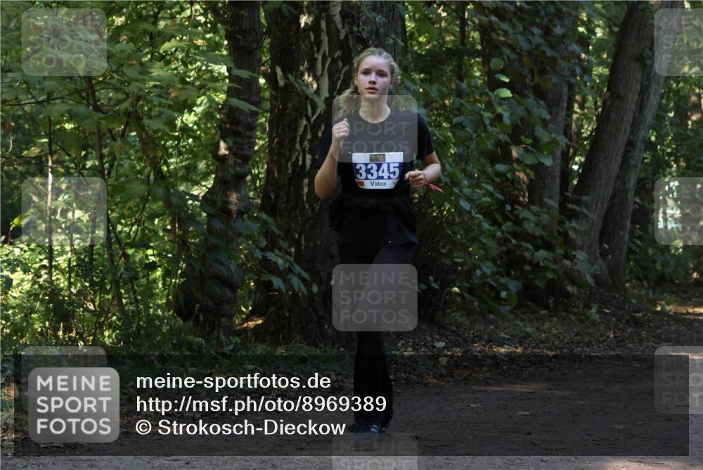 28.09.2025 - 33. Volkslauf durch das schöne Alstertal Strokosch-Dieckow http://msf.ph/oto/8969389 28.09.2025 11:26:48 Laufen 3345 meine-sportfotos.de