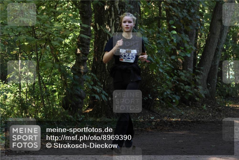 28.09.2025 - 33. Volkslauf durch das schöne Alstertal Strokosch-Dieckow http://msf.ph/oto/8969390 28.09.2025 11:26:49 Laufen 3345 meine-sportfotos.de