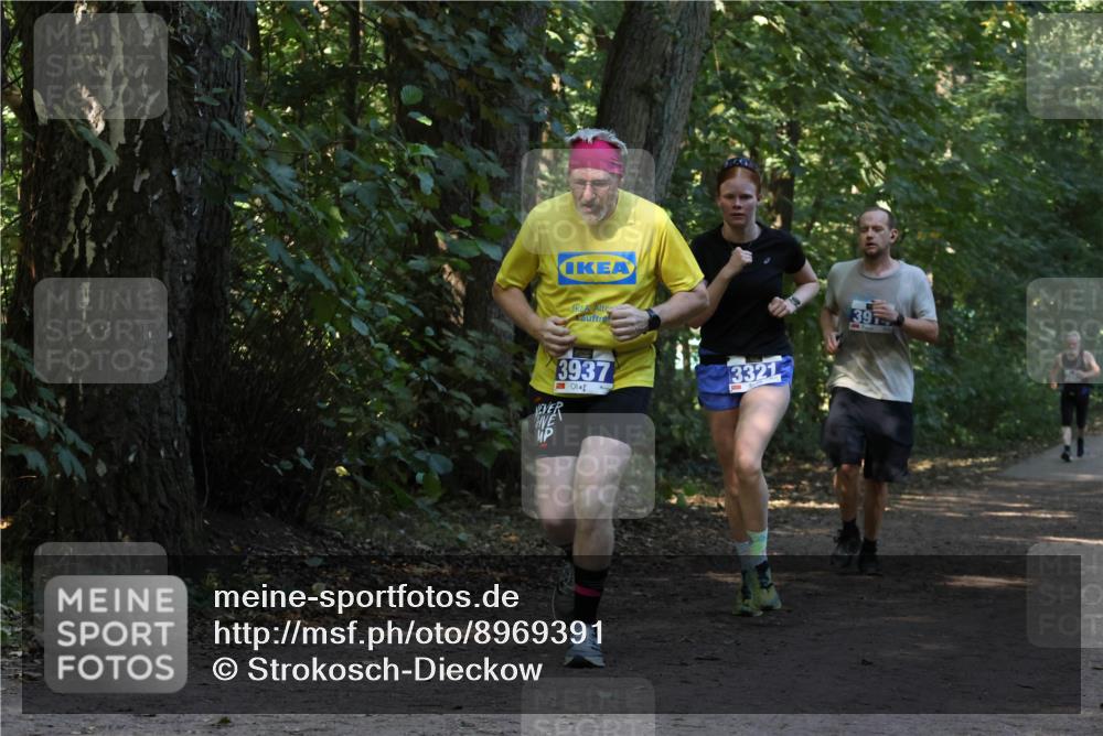 28.09.2025 - 33. Volkslauf durch das schöne Alstertal Strokosch-Dieckow http://msf.ph/oto/8969391 28.09.2025 11:26:57 Laufen 3937, 3321, 39 meine-sportfotos.de