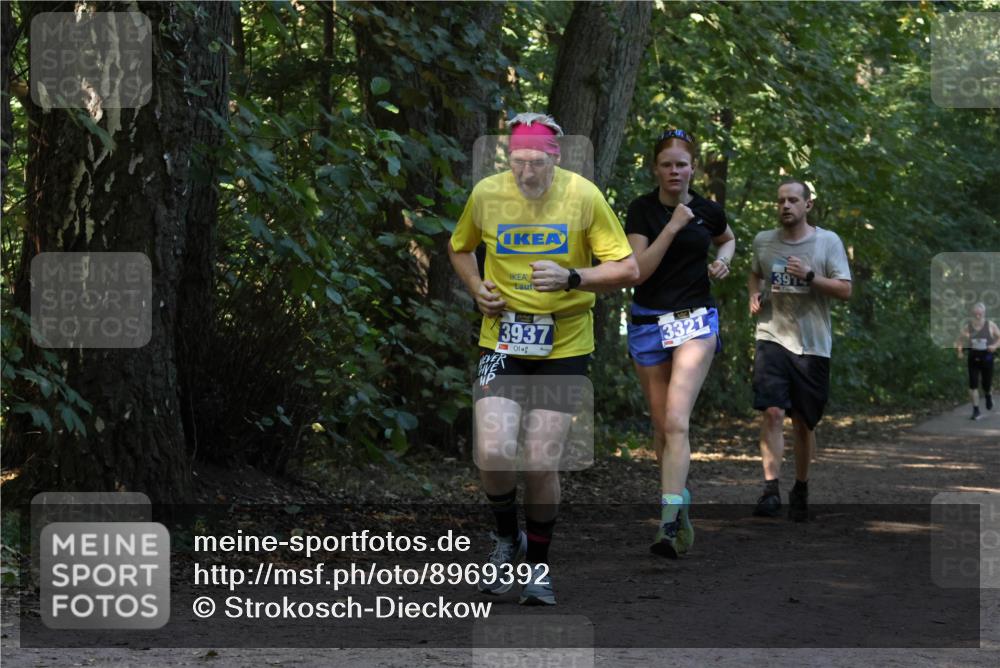 28.09.2025 - 33. Volkslauf durch das schöne Alstertal Strokosch-Dieckow http://msf.ph/oto/8969392 28.09.2025 11:26:57 Laufen 3937, 3321, 391 meine-sportfotos.de
