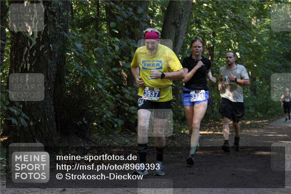 28.09.2025 - 33. Volkslauf durch das schöne Alstertal Strokosch-Dieckow http://msf.ph/oto/8969393 28.09.2025 11:26:57 Laufen 3937, 3321 meine-sportfotos.de