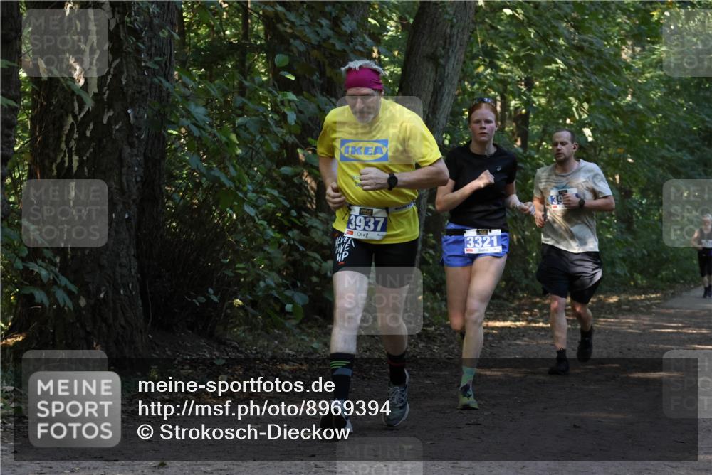 28.09.2025 - 33. Volkslauf durch das schöne Alstertal Strokosch-Dieckow http://msf.ph/oto/8969394 28.09.2025 11:26:57 Laufen 3937, 3321, 39 meine-sportfotos.de