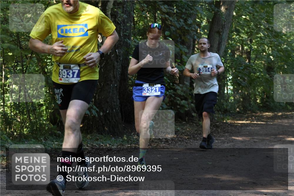 28.09.2025 - 33. Volkslauf durch das schöne Alstertal Strokosch-Dieckow http://msf.ph/oto/8969395 28.09.2025 11:26:58 Laufen 3937, 3321, 3914 meine-sportfotos.de