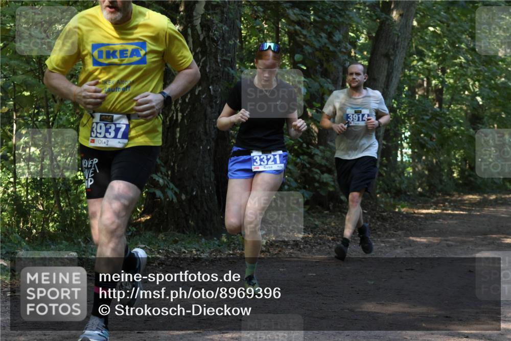 28.09.2025 - 33. Volkslauf durch das schöne Alstertal Strokosch-Dieckow http://msf.ph/oto/8969396 28.09.2025 11:26:58 Laufen 3937, 3321, 3914 meine-sportfotos.de