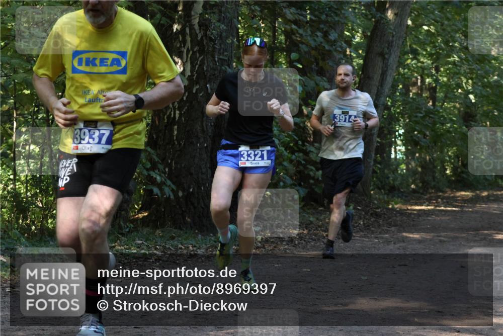 28.09.2025 - 33. Volkslauf durch das schöne Alstertal Strokosch-Dieckow http://msf.ph/oto/8969397 28.09.2025 11:26:59 Laufen 3937, 3321, 3914 meine-sportfotos.de