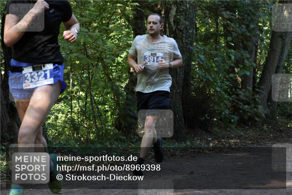 28.09.2025 - 33. Volkslauf durch das schöne Alstertal Strokosch-Dieckow http://msf.ph/oto/8969398 28.09.2025 11:27:00 Laufen 3321, 3914 meine-sportfotos.de