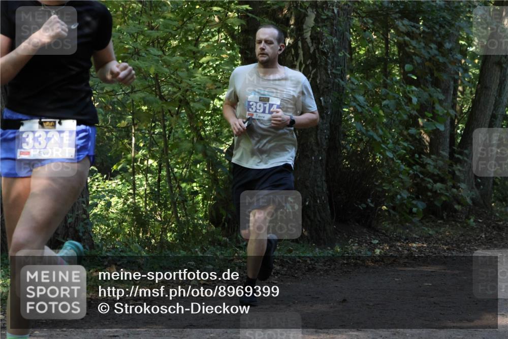 28.09.2025 - 33. Volkslauf durch das schöne Alstertal Strokosch-Dieckow http://msf.ph/oto/8969399 28.09.2025 11:27:00 Laufen 3321, 3914 meine-sportfotos.de