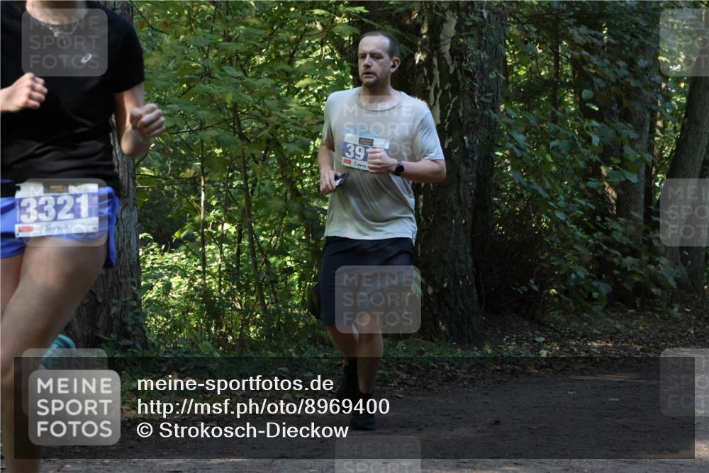 28.09.2025 - 33. Volkslauf durch das schöne Alstertal Strokosch-Dieckow http://msf.ph/oto/8969400 28.09.2025 11:27:00 Laufen 3321, 39 meine-sportfotos.de