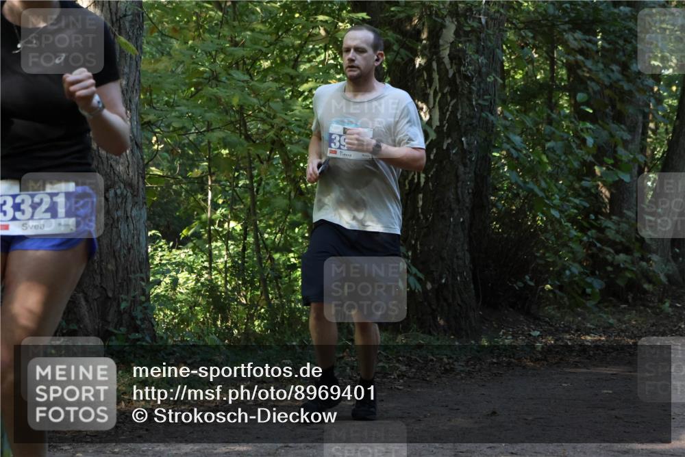 28.09.2025 - 33. Volkslauf durch das schöne Alstertal Strokosch-Dieckow http://msf.ph/oto/8969401 28.09.2025 11:27:00 Laufen 3321, 39 meine-sportfotos.de