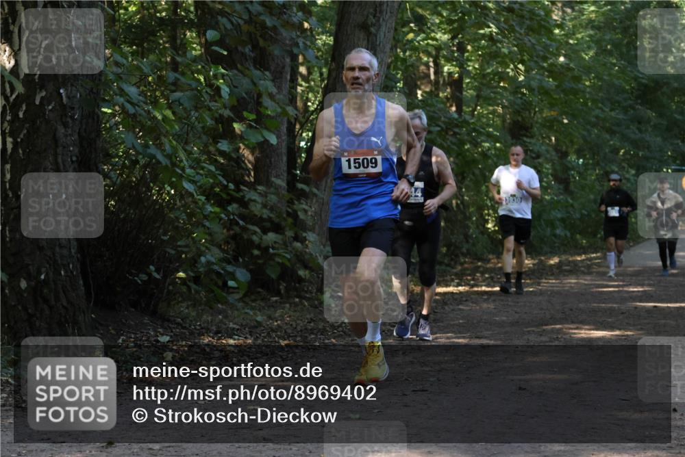 28.09.2025 - 33. Volkslauf durch das schöne Alstertal Strokosch-Dieckow http://msf.ph/oto/8969402 28.09.2025 11:27:10 Laufen 1509, 44, 3930 meine-sportfotos.de