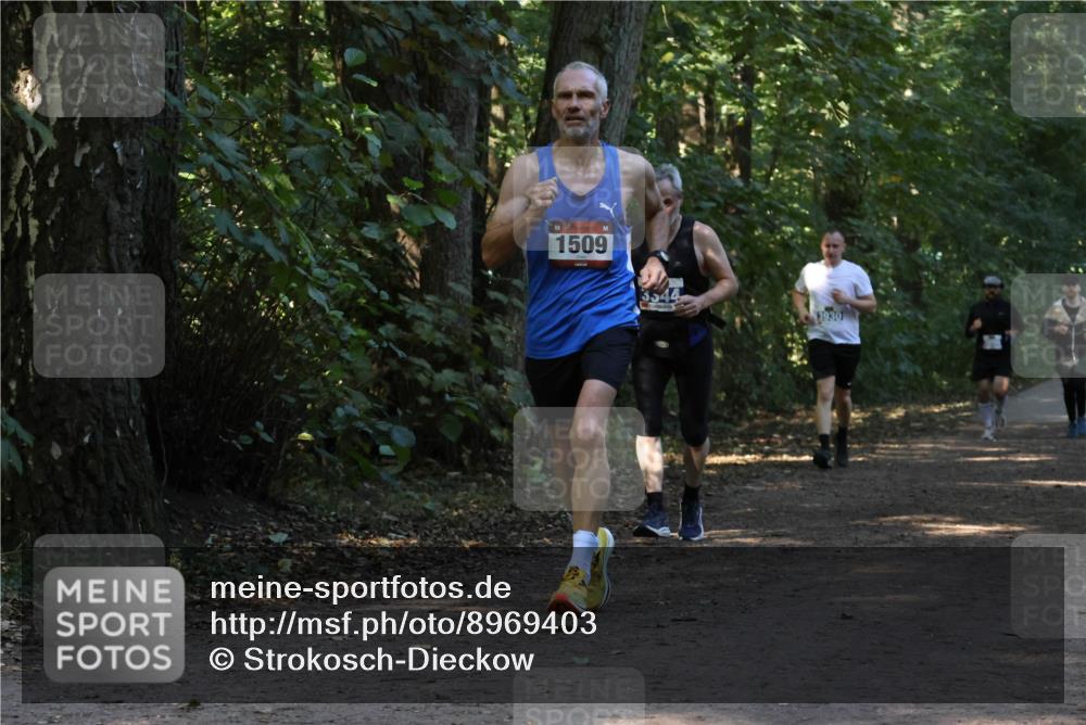 28.09.2025 - 33. Volkslauf durch das schöne Alstertal Strokosch-Dieckow http://msf.ph/oto/8969403 28.09.2025 11:27:10 Laufen 1509, 354, 3930 meine-sportfotos.de