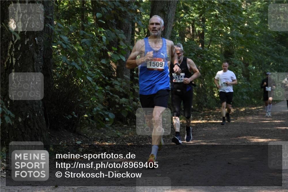 28.09.2025 - 33. Volkslauf durch das schöne Alstertal Strokosch-Dieckow http://msf.ph/oto/8969405 28.09.2025 11:27:10 Laufen 1509, 3344 meine-sportfotos.de