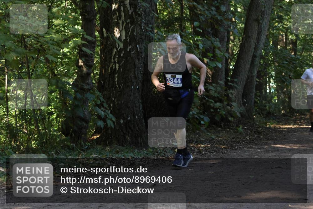 28.09.2025 - 33. Volkslauf durch das schöne Alstertal Strokosch-Dieckow http://msf.ph/oto/8969406 28.09.2025 11:27:12 Laufen 3344 meine-sportfotos.de