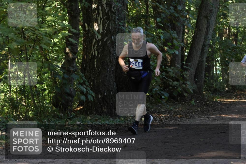 28.09.2025 - 33. Volkslauf durch das schöne Alstertal Strokosch-Dieckow http://msf.ph/oto/8969407 28.09.2025 11:27:12 Laufen 3344 meine-sportfotos.de
