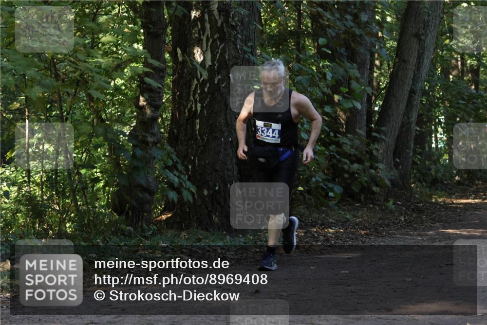 28.09.2025 - 33. Volkslauf durch das schöne Alstertal Strokosch-Dieckow http://msf.ph/oto/8969408 28.09.2025 11:27:12 Laufen 3344 meine-sportfotos.de