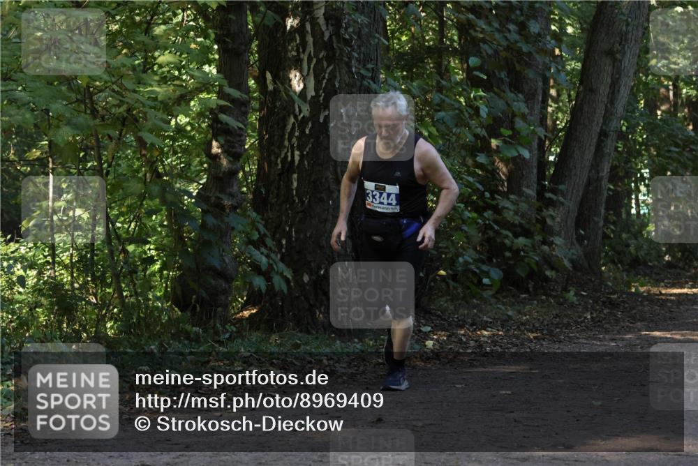 28.09.2025 - 33. Volkslauf durch das schöne Alstertal Strokosch-Dieckow http://msf.ph/oto/8969409 28.09.2025 11:27:12 Laufen 3344 meine-sportfotos.de