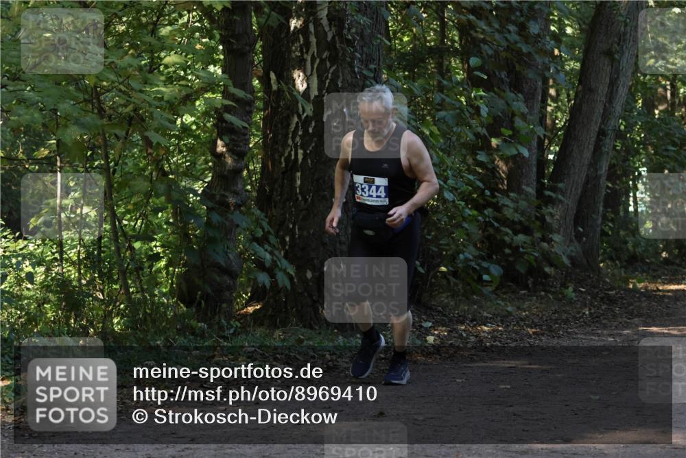 28.09.2025 - 33. Volkslauf durch das schöne Alstertal Strokosch-Dieckow http://msf.ph/oto/8969410 28.09.2025 11:27:12 Laufen 3344 meine-sportfotos.de