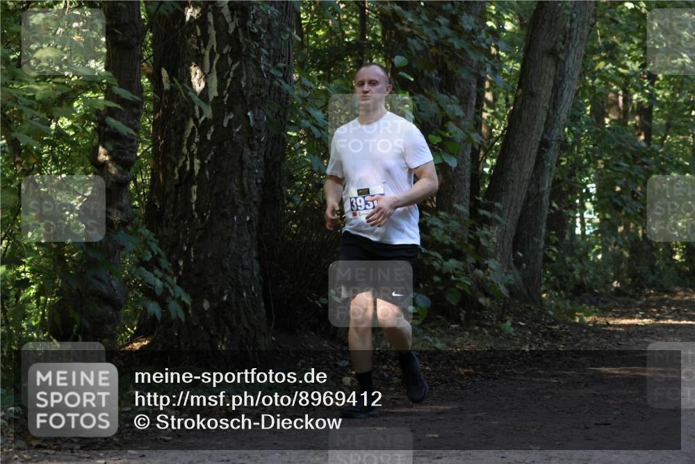 28.09.2025 - 33. Volkslauf durch das schöne Alstertal Strokosch-Dieckow http://msf.ph/oto/8969412 28.09.2025 11:27:17 Laufen 395 meine-sportfotos.de