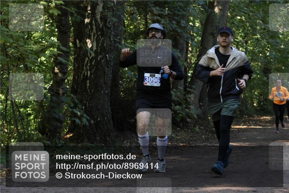 28.09.2025 - 33. Volkslauf durch das schöne Alstertal Strokosch-Dieckow http://msf.ph/oto/8969414 28.09.2025 11:27:22 Laufen 3096, 3230 meine-sportfotos.de