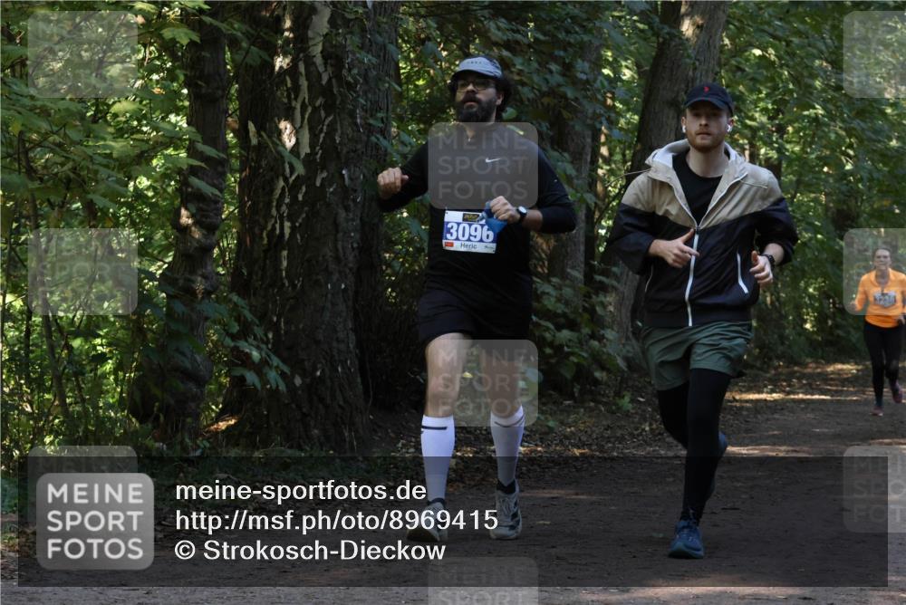 28.09.2025 - 33. Volkslauf durch das schöne Alstertal Strokosch-Dieckow http://msf.ph/oto/8969415 28.09.2025 11:27:22 Laufen 3096, 1 meine-sportfotos.de