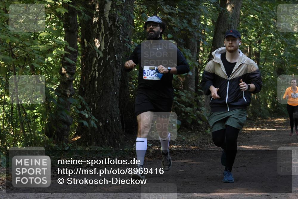 28.09.2025 - 33. Volkslauf durch das schöne Alstertal Strokosch-Dieckow http://msf.ph/oto/8969416 28.09.2025 11:27:22 Laufen 309 meine-sportfotos.de