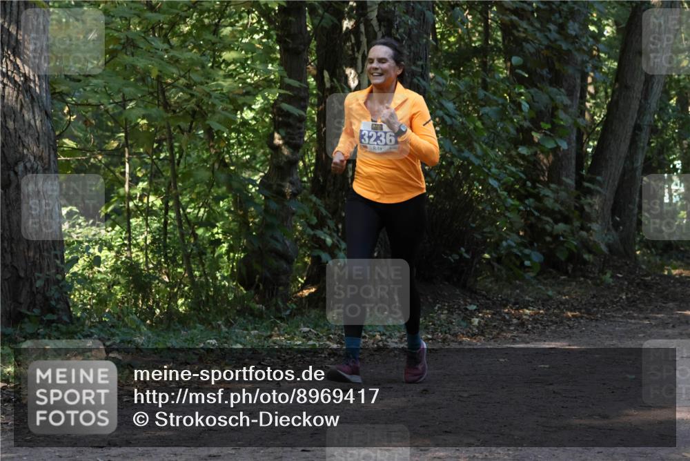 28.09.2025 - 33. Volkslauf durch das schöne Alstertal Strokosch-Dieckow http://msf.ph/oto/8969417 28.09.2025 11:27:28 Laufen 3236 meine-sportfotos.de