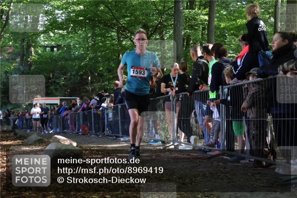 28.09.2025 - 33. Volkslauf durch das schöne Alstertal Strokosch-Dieckow http://msf.ph/oto/8969419 28.09.2025 11:50:09 Ziel 1007, 1593, 3389, 3390 meine-sportfotos.de