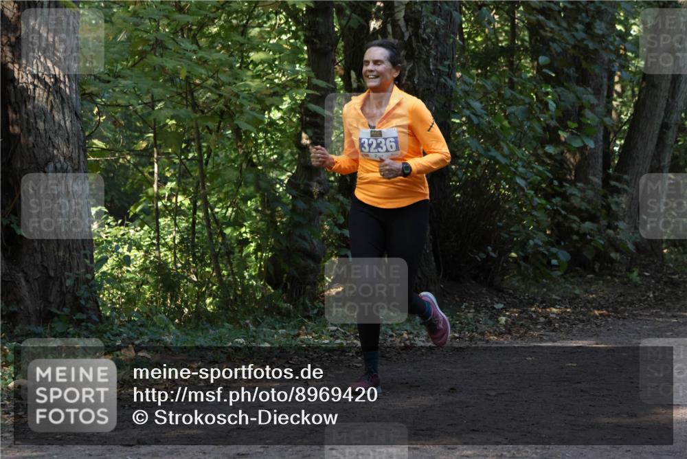 28.09.2025 - 33. Volkslauf durch das schöne Alstertal Strokosch-Dieckow http://msf.ph/oto/8969420 28.09.2025 11:27:28 Laufen 3236 meine-sportfotos.de