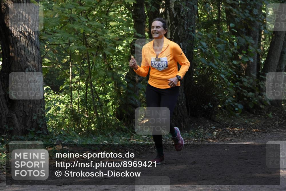 28.09.2025 - 33. Volkslauf durch das schöne Alstertal Strokosch-Dieckow http://msf.ph/oto/8969421 28.09.2025 11:27:28 Laufen 3236 meine-sportfotos.de
