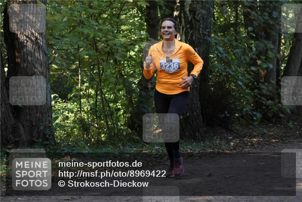 28.09.2025 - 33. Volkslauf durch das schöne Alstertal Strokosch-Dieckow http://msf.ph/oto/8969422 28.09.2025 11:27:29 Laufen 3236 meine-sportfotos.de