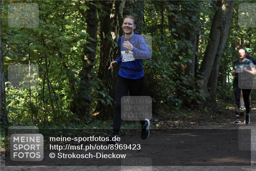 28.09.2025 - 33. Volkslauf durch das schöne Alstertal Strokosch-Dieckow http://msf.ph/oto/8969423 28.09.2025 11:27:32 Laufen 3095, 3, 3115 meine-sportfotos.de