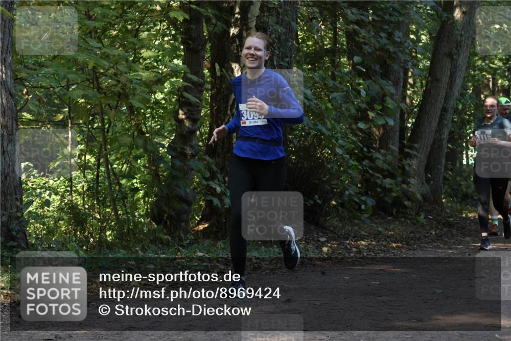 28.09.2025 - 33. Volkslauf durch das schöne Alstertal Strokosch-Dieckow http://msf.ph/oto/8969424 28.09.2025 11:27:32 Laufen 3095, 3115 meine-sportfotos.de