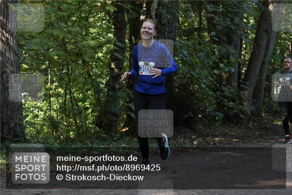 28.09.2025 - 33. Volkslauf durch das schöne Alstertal Strokosch-Dieckow http://msf.ph/oto/8969425 28.09.2025 11:27:32 Laufen 3095, 3115 meine-sportfotos.de