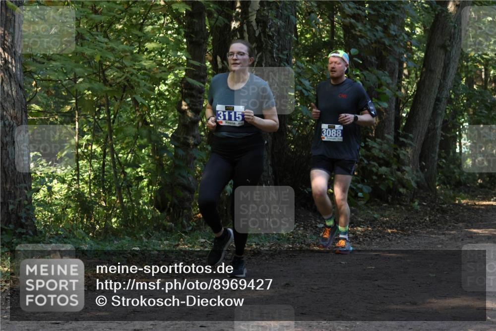 28.09.2025 - 33. Volkslauf durch das schöne Alstertal Strokosch-Dieckow http://msf.ph/oto/8969427 28.09.2025 11:27:34 Laufen 3115, 3088 meine-sportfotos.de